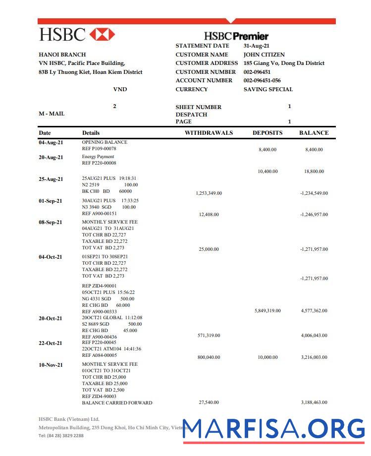 Blank Vietnam HSBC bank statement word sample